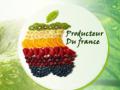 producteurs de france vente de druits et légumes